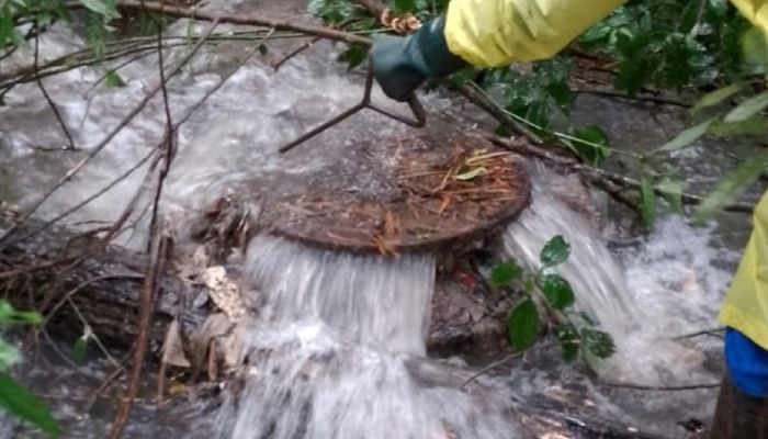  Sanepar orienta população a como escoar corretamente água da chuva dos imóveis